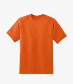 Maroon Tee-shirt - Image 2